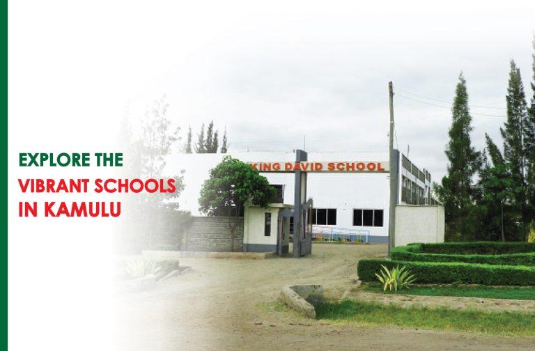 Schools in Kamulu