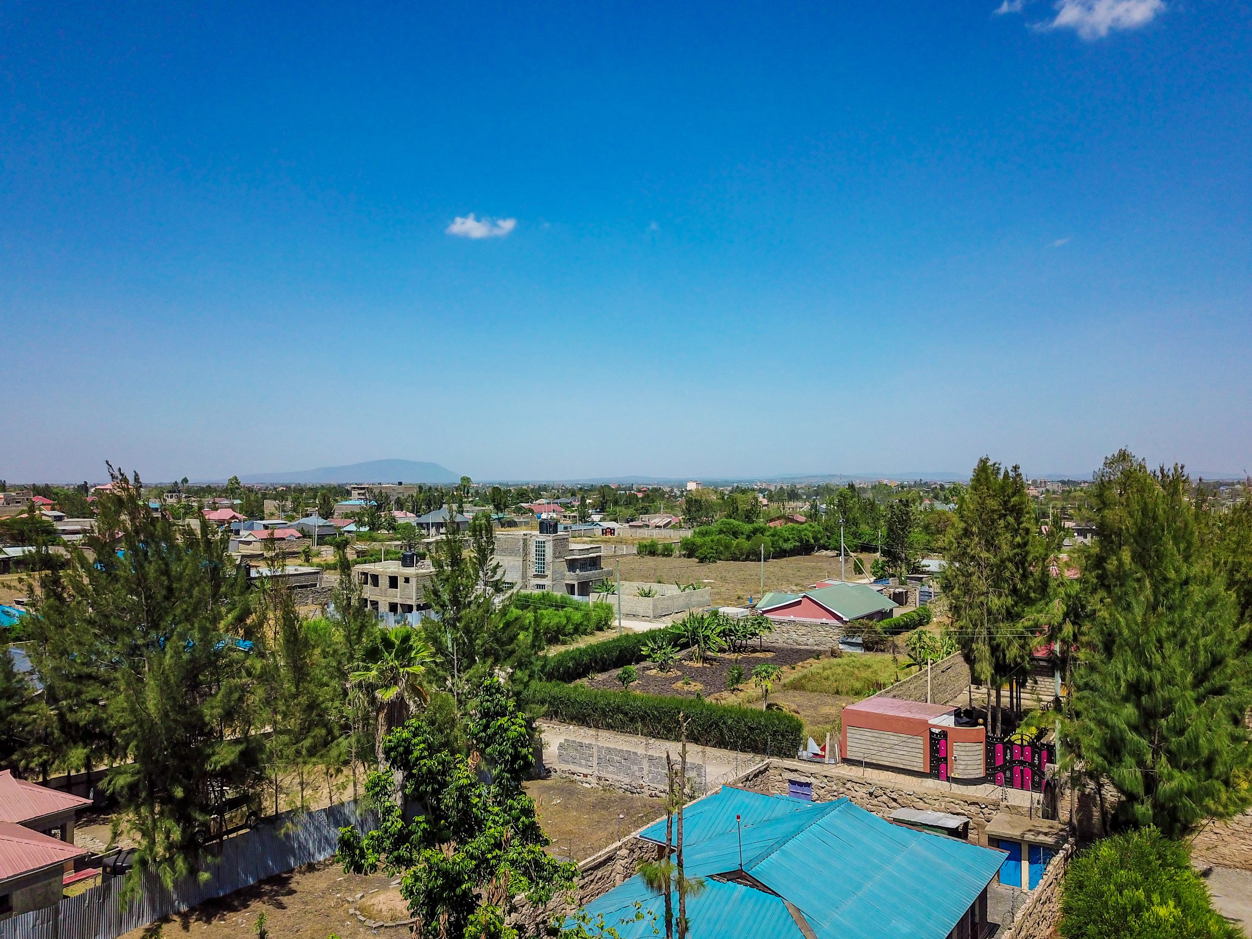 Meriton Plots in Malaa